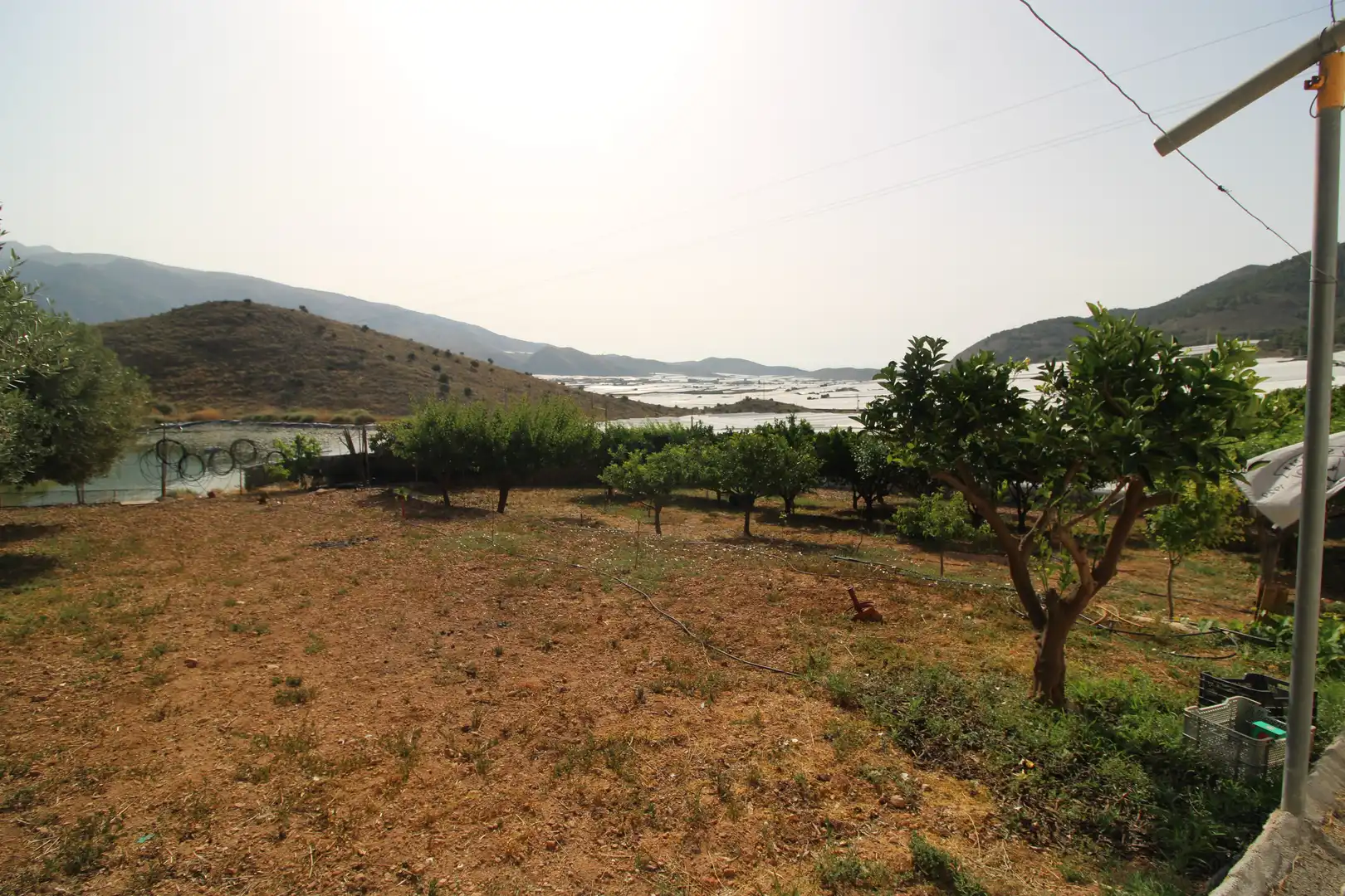 Finca rústica en venda en Dalías