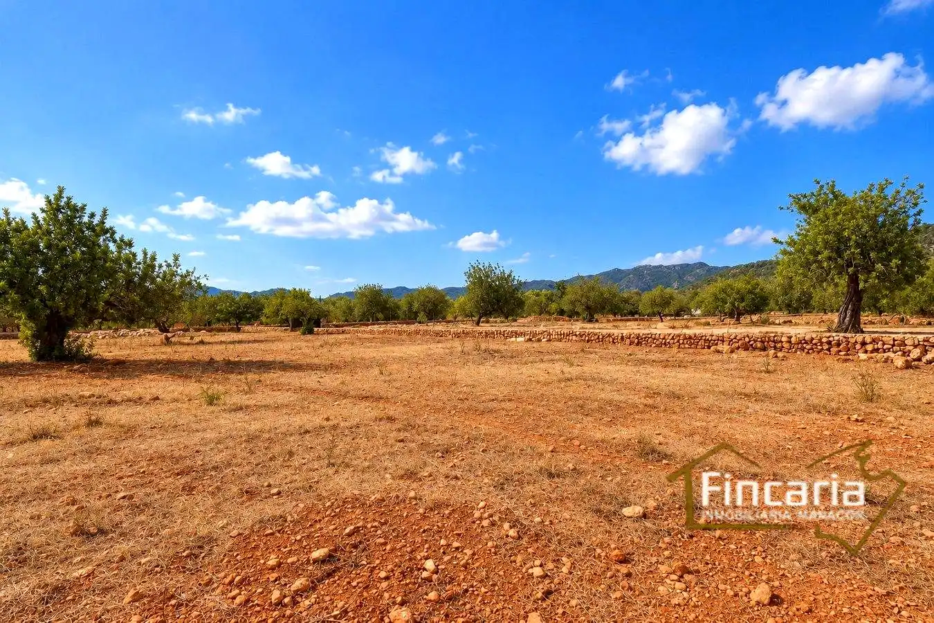 Country homes for sale in Marratxinet
