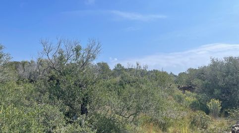 Foto 3 de Residencial en venta en Poble, Mont-roig del Camp