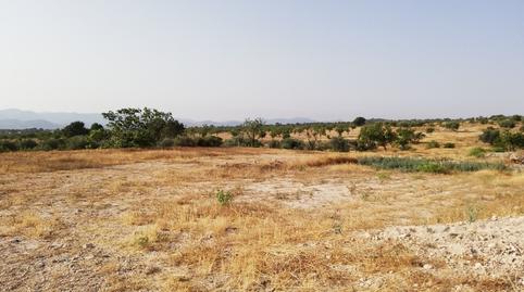 Foto 3 de Residencial en venta en Polígono 247, Fontanares, Murcia