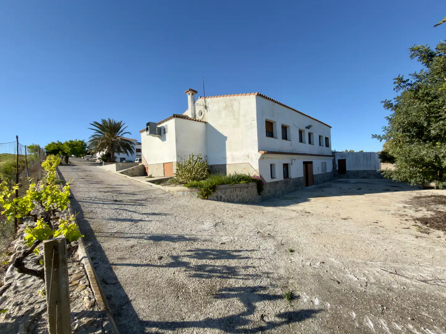 Vista exterior de Finca rústica en venta en Arcos de la Frontera con Aire acondicionado, Calefacción y Jardín privado