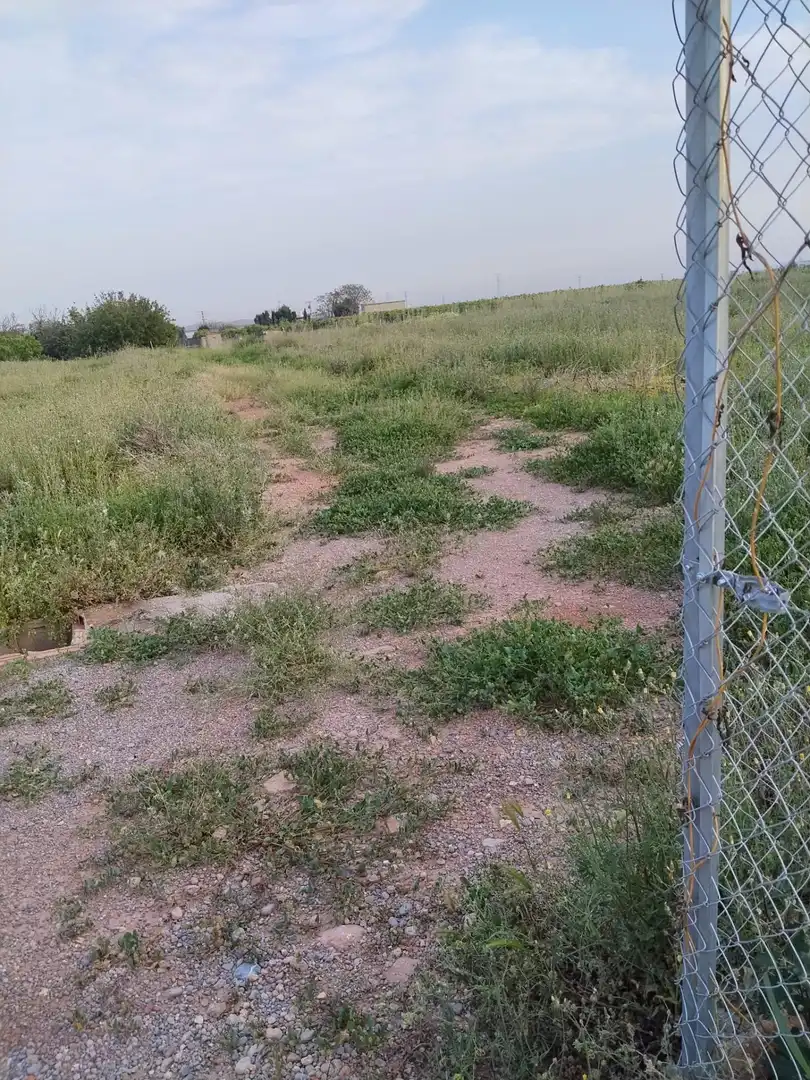 Terreno rústico en venta en Partida Número 2, imagen 3