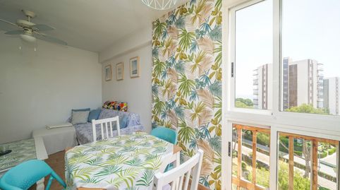 Photo 3 of Study for rent in Campoamor, Orihuela