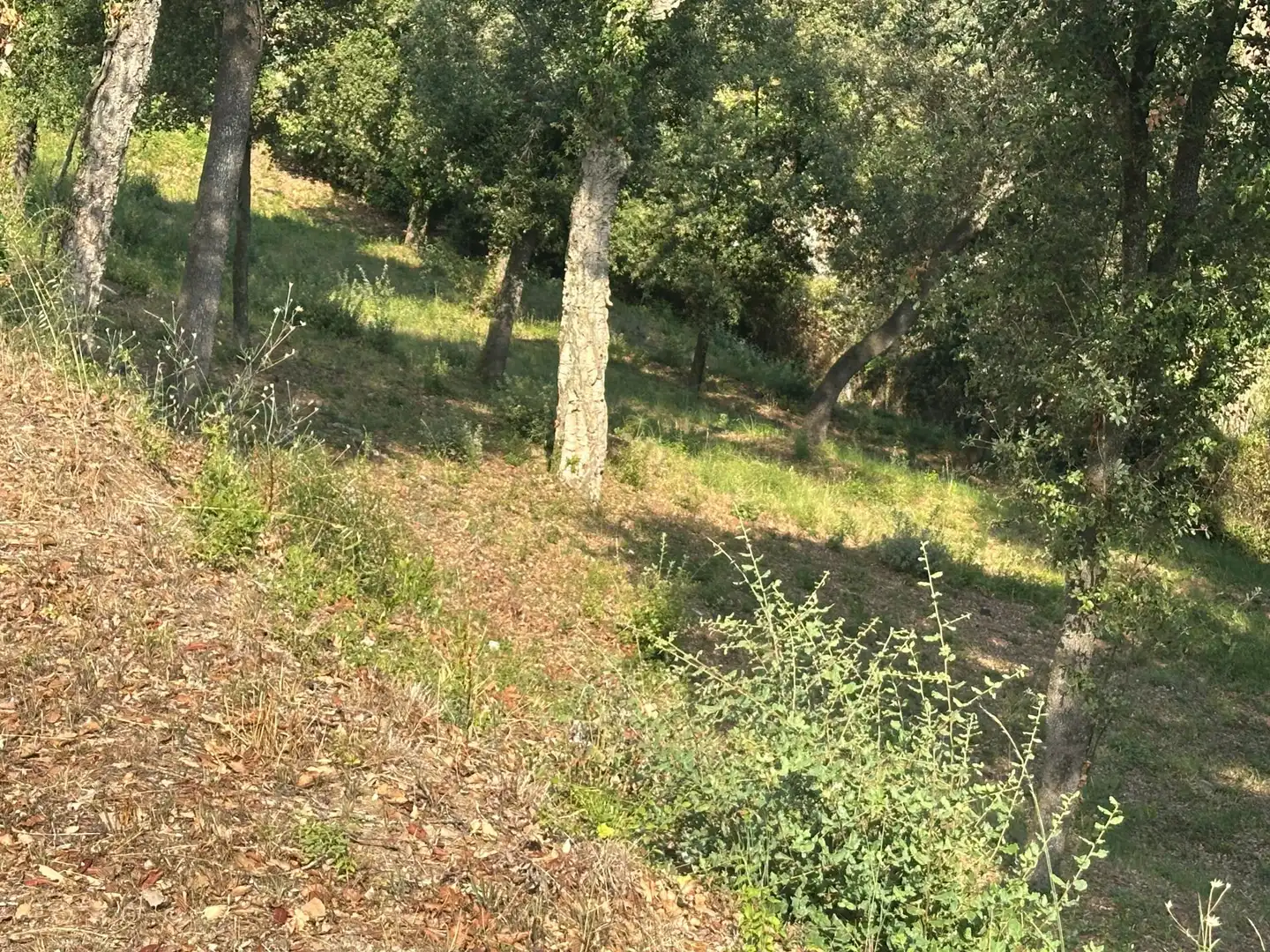Residencial en venta en Santa Maria de Palautordera