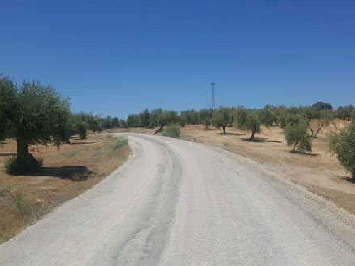 Land for sale in Marmolejo