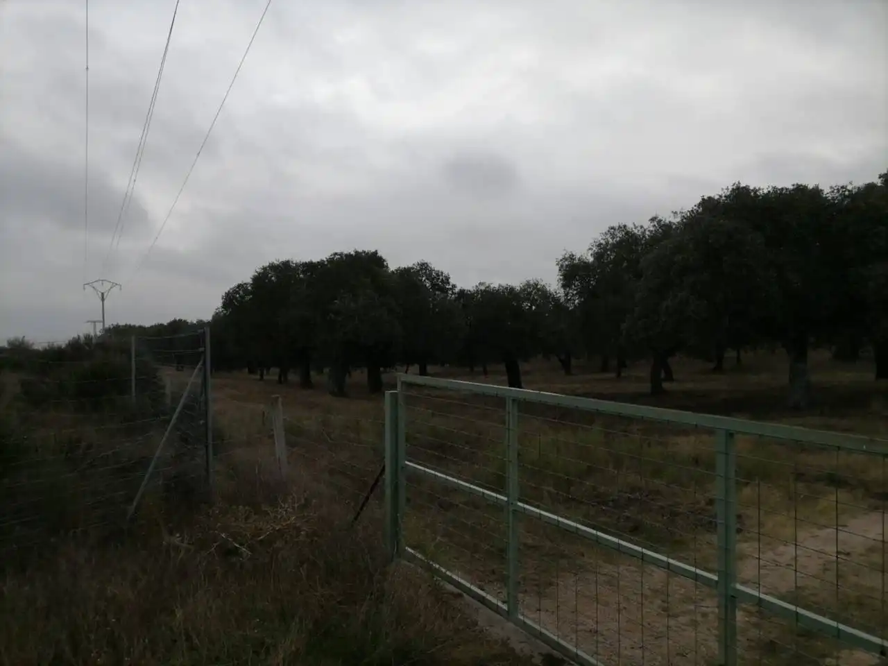 Terreno en venta en Poligono 1, La Alameda de Gardón