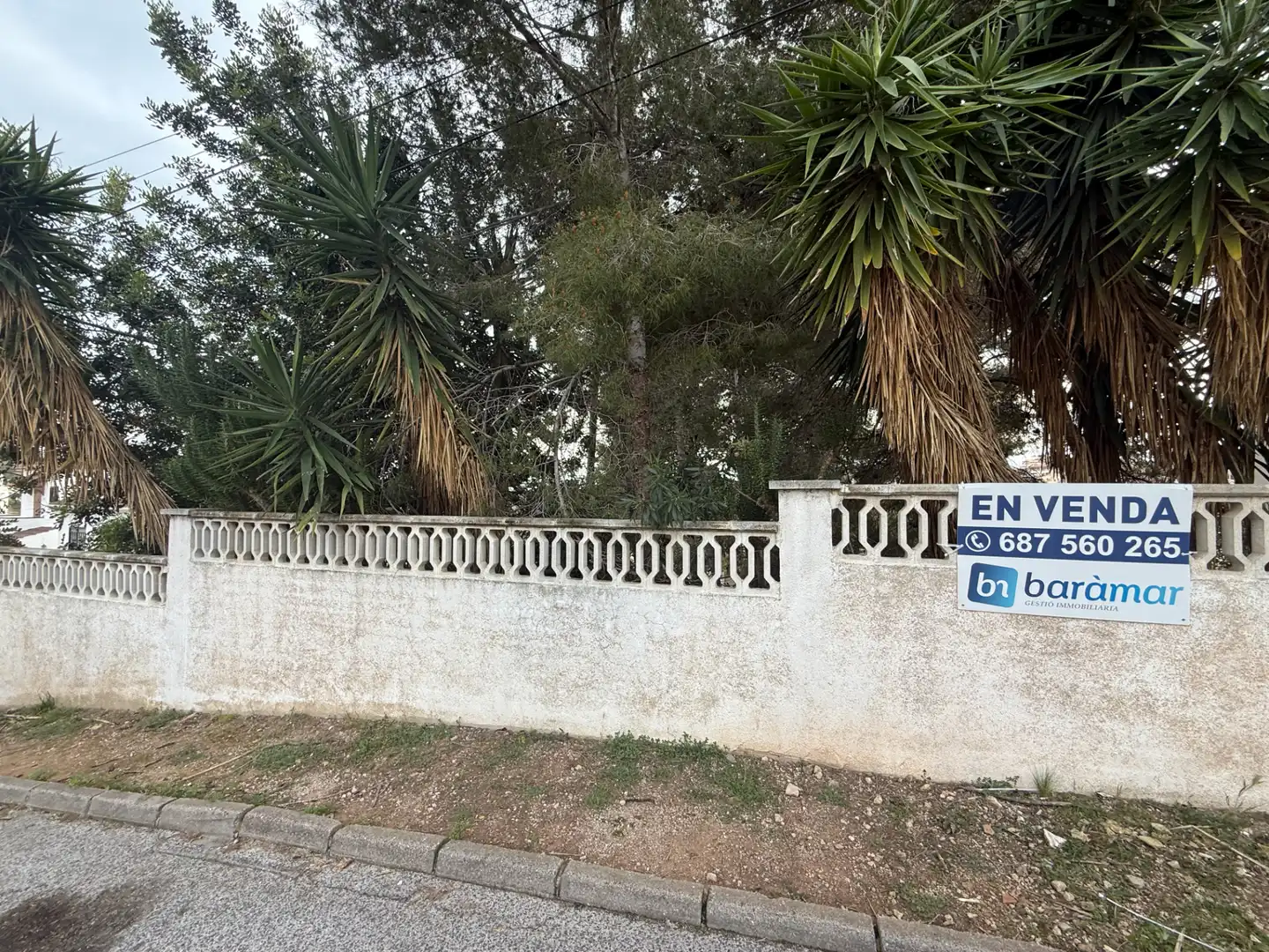 Terreny residencial en venda a Urbanizacion Poblamar 3131, imagen 4