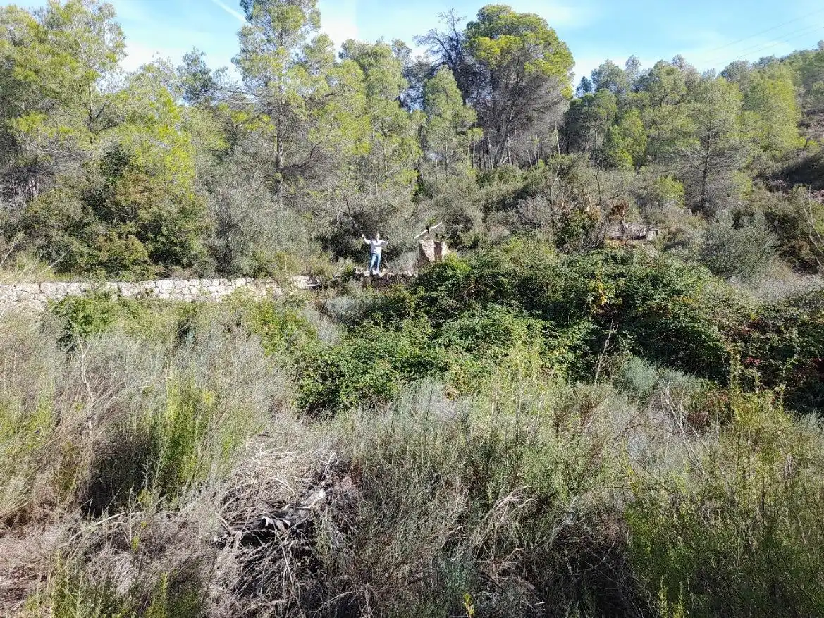 Land for sale in La Palma d'Ebre