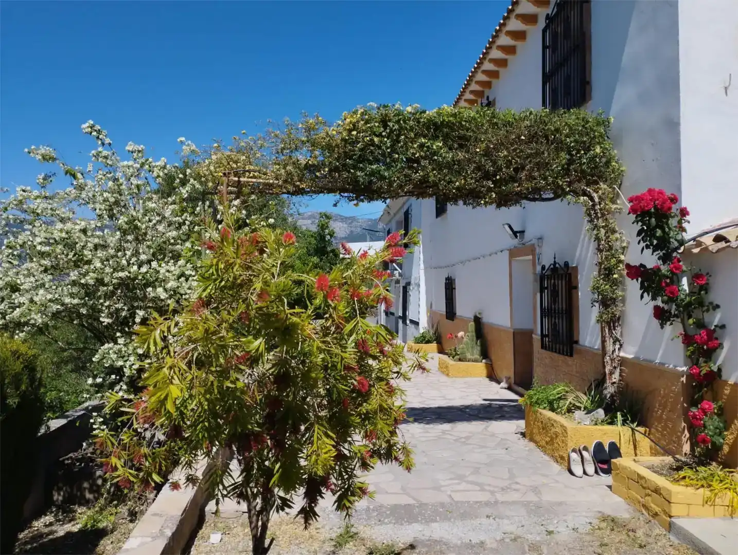 Vista exterior de Piso en venta en Pozo Alcón