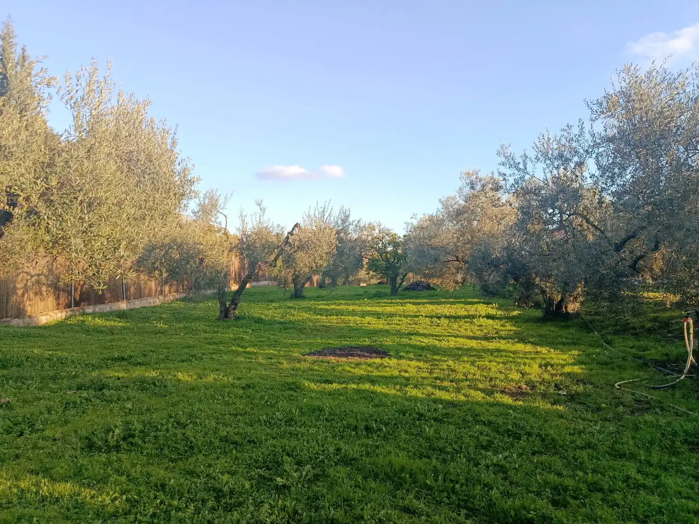 Country house zum Verkauf in Hinojos mit Privatgarten, Terrasse und Schwimmbad