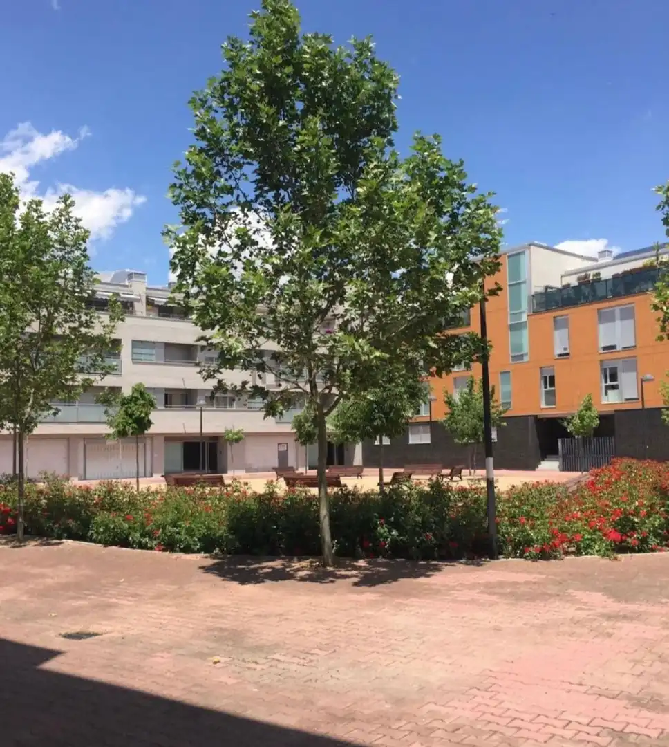 Vista exterior de Apartamento en venta en Valladolid con Jardín privado y Piscina comunitaria