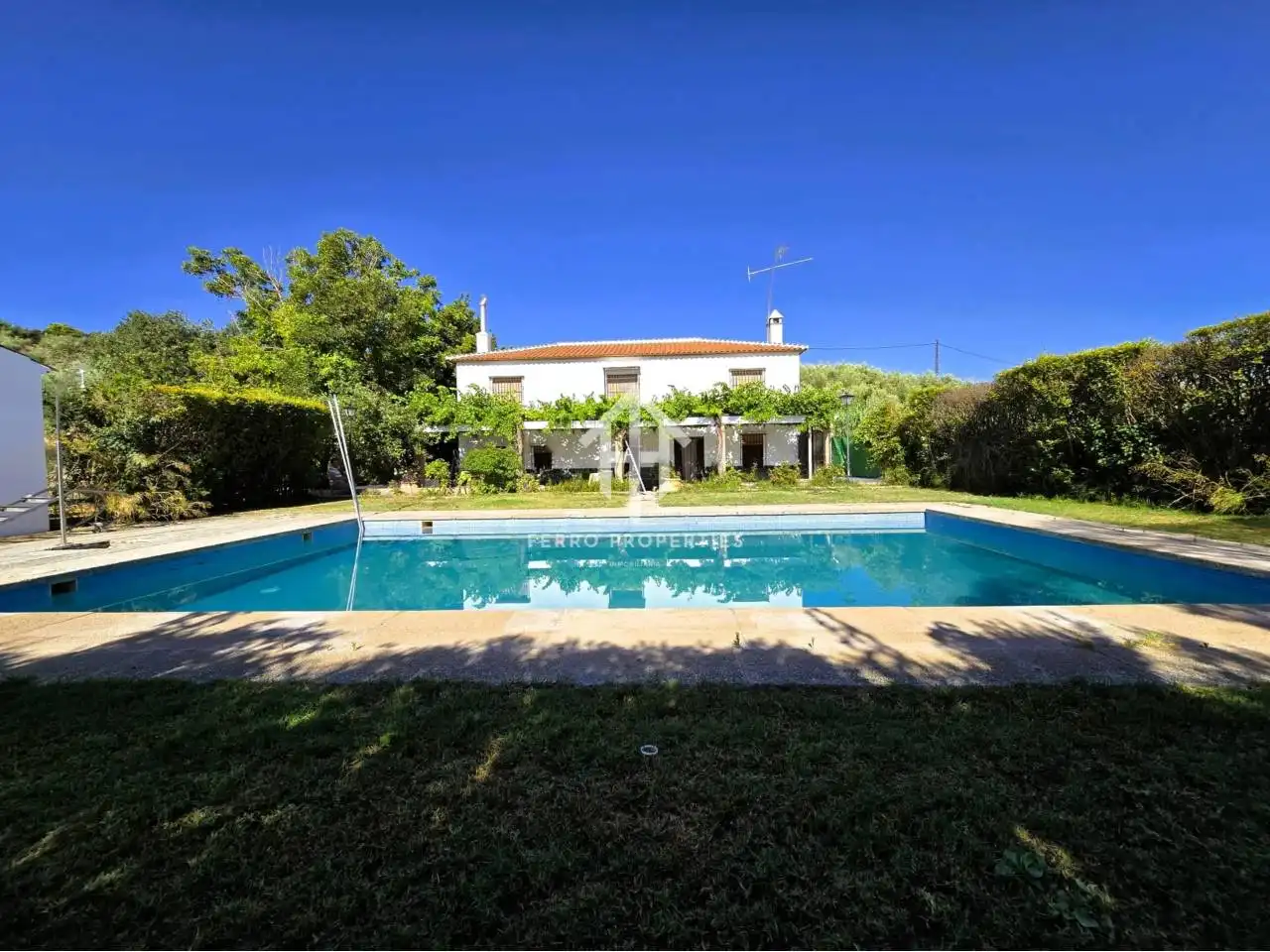 Jardín de Casa o chalet en venta en Salar con Jardín privado, Terraza y Piscina