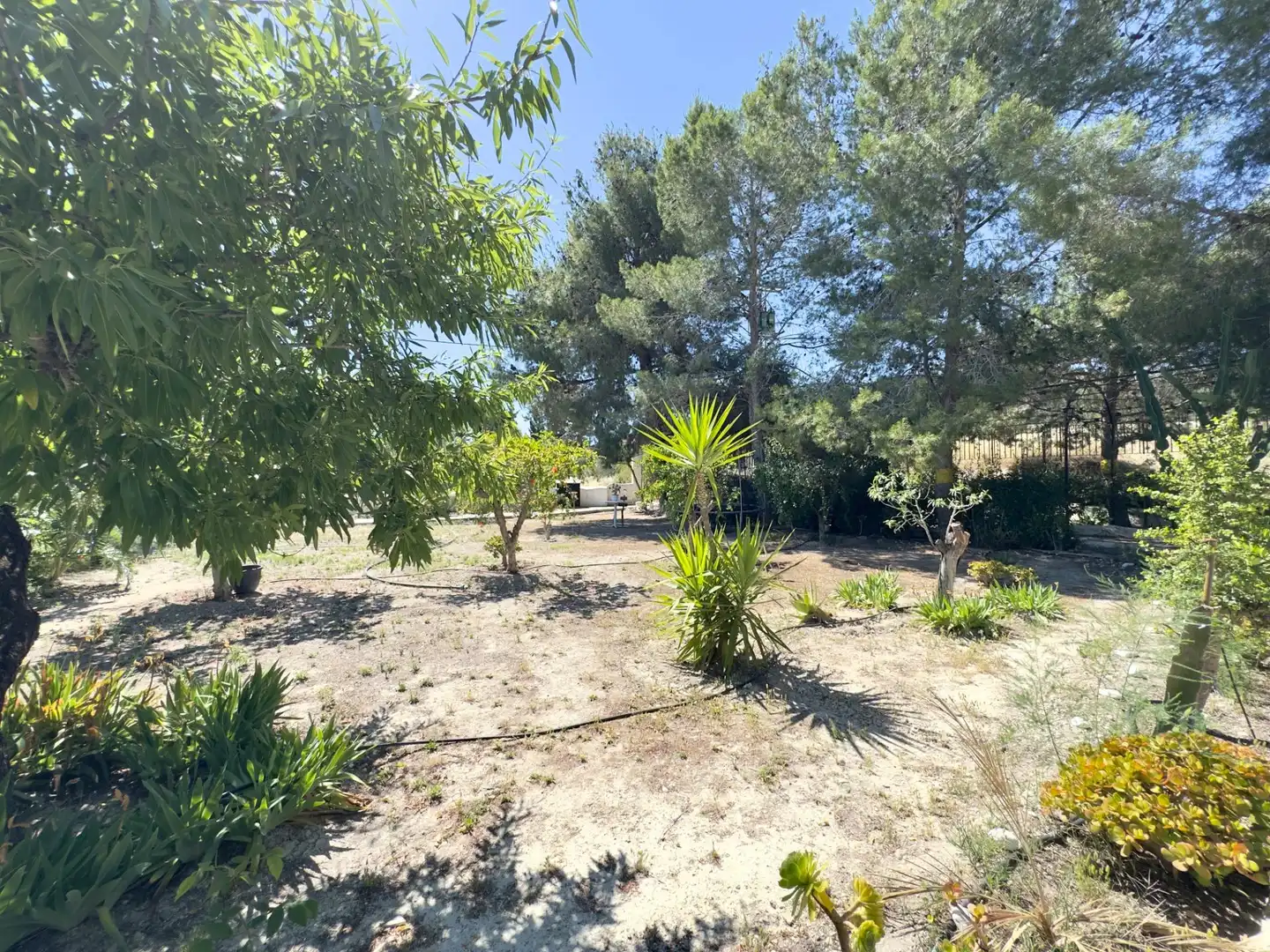 Casa o chalet en venta en Aspe con Calefacción, Jardín privado y Terraza
