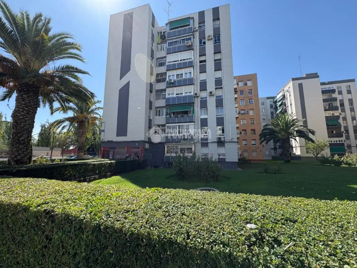 Pis amb ascensor en venda a Sur - PAU 4