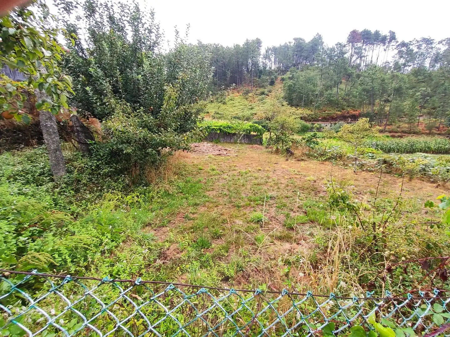 Casa amb jardí en venda a Ponteareas, imagen 6