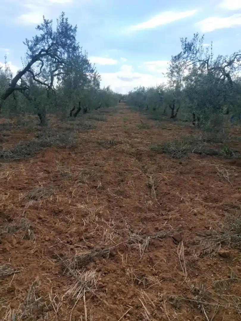 Finca rústica en venda en Pilas