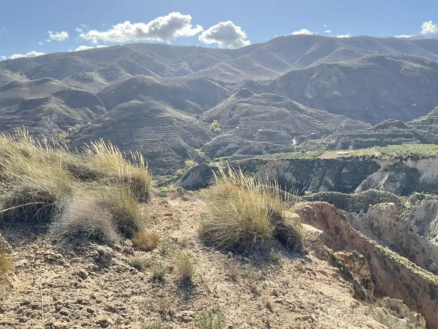 Exterior view of Land for sale in Padules