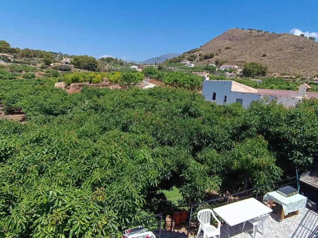 Vista exterior de Casa o chalet de alquiler en Nerja con Aire acondicionado, Calefacción y Jardín privado
