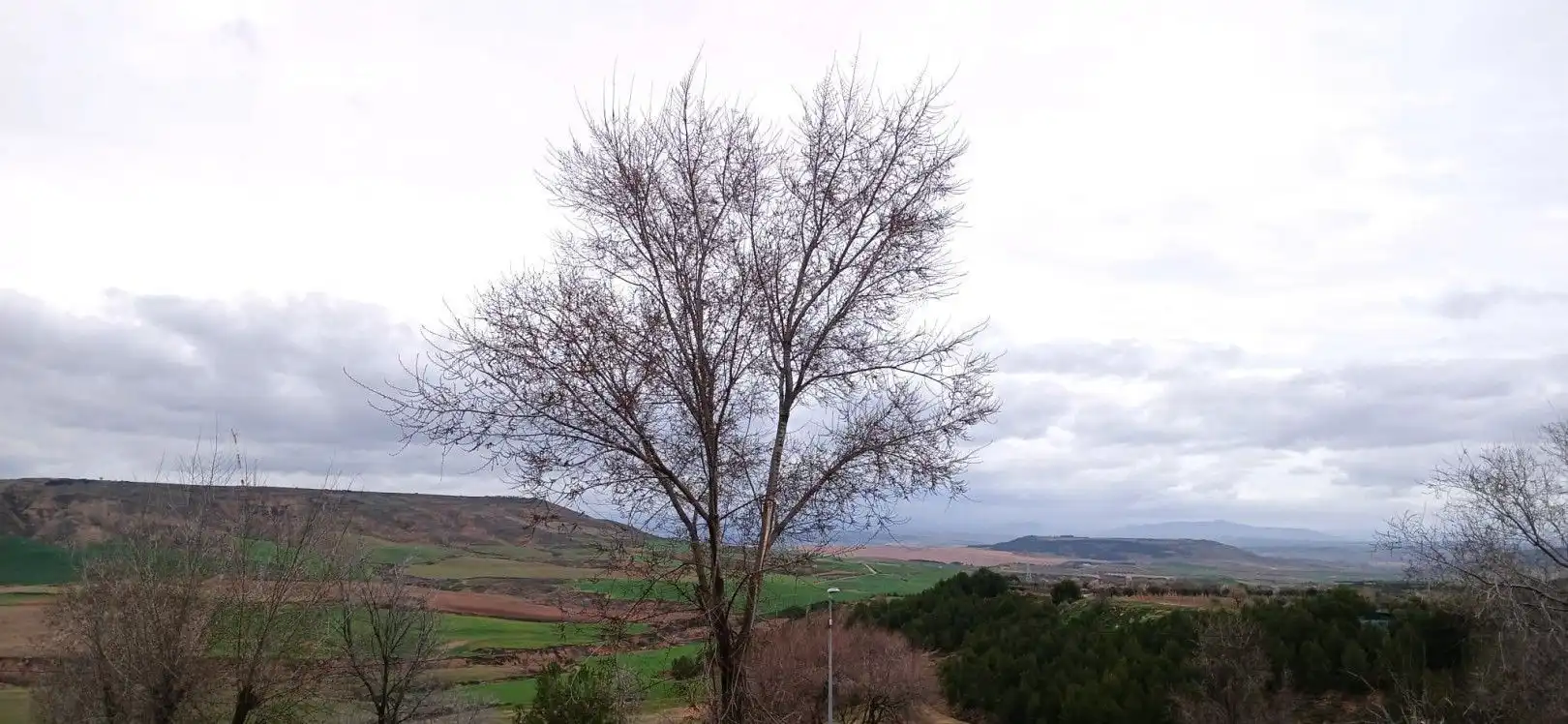 Exterior view of Houses for sale in Corera