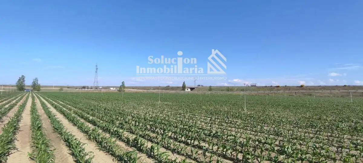 Land for sale in Encinas de Abajo