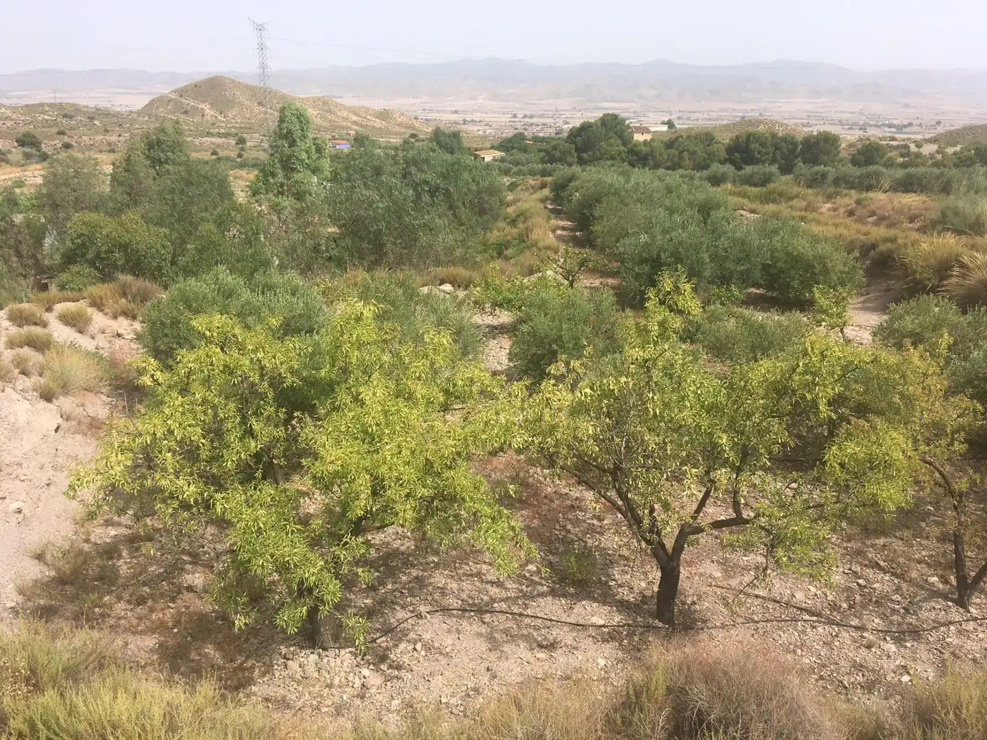 Country house zum Verkauf in Lorca mit Privatgarten und Schwimmbad