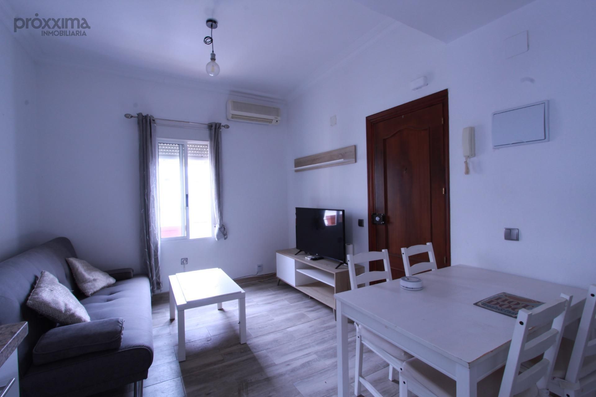 Living room of Apartment for rent in  Sevilla Capital  with Air Conditioner and Furnished