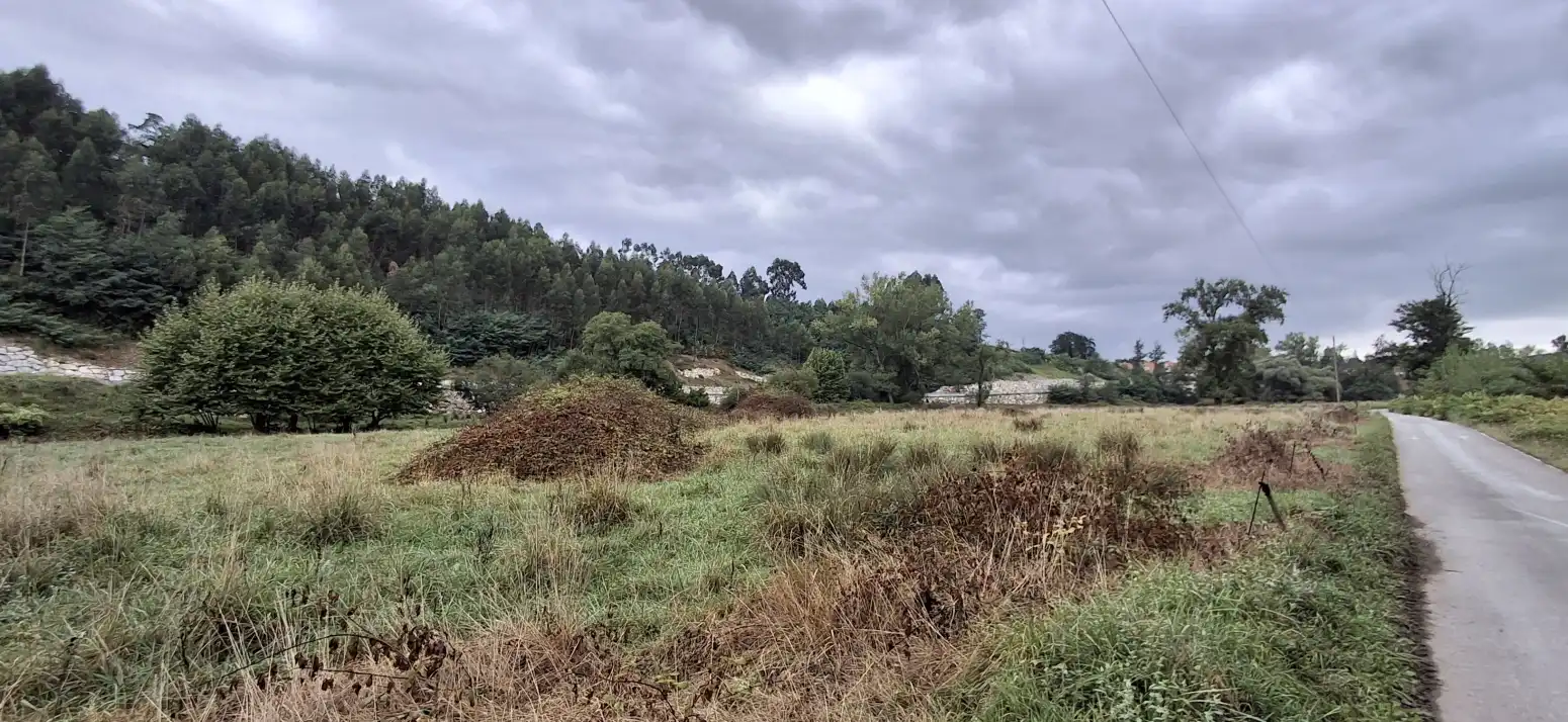 Terreno rustico in vendita a LAS CERRADAS, imagen 5