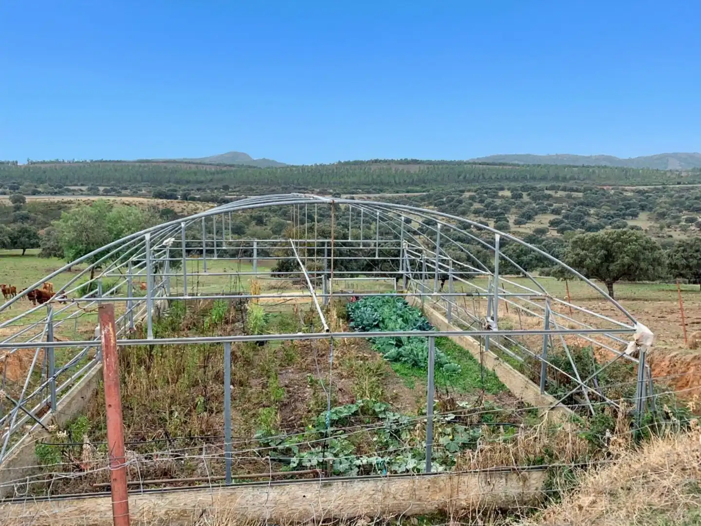 Land for sale in Garbayuela