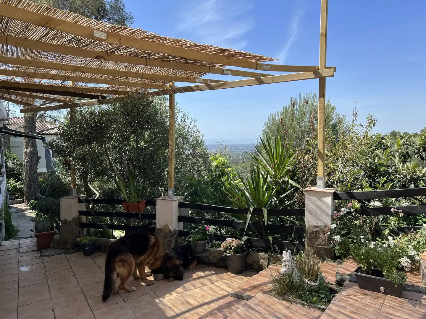 Casa o xalet en venda a ARBOLI, Almoster