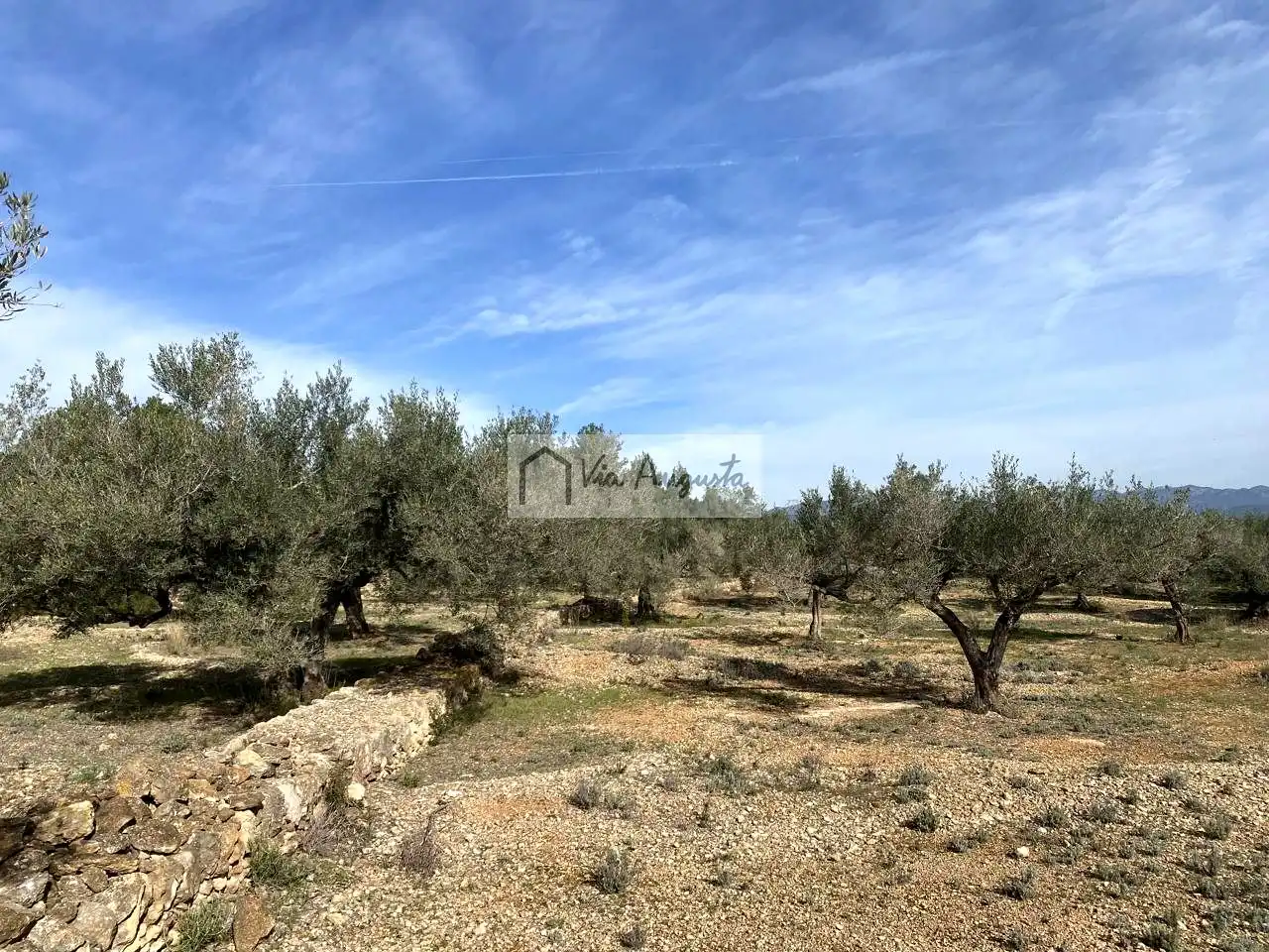 Terreno rustico in vendita a Planas, imagen 17