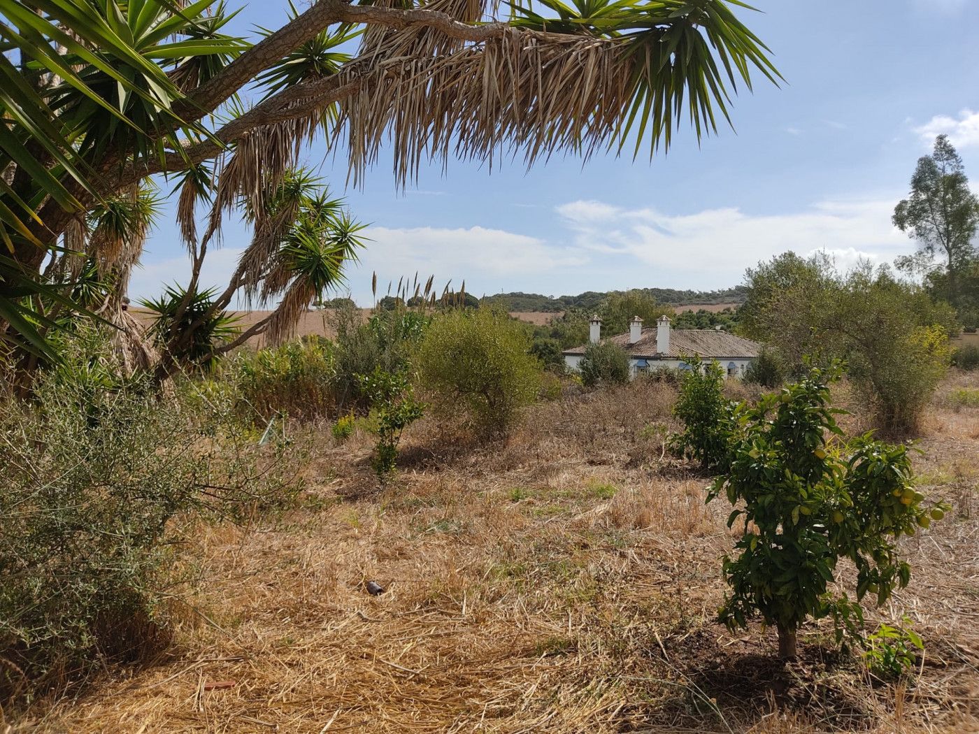 House or chalet for sale in Los Barrios