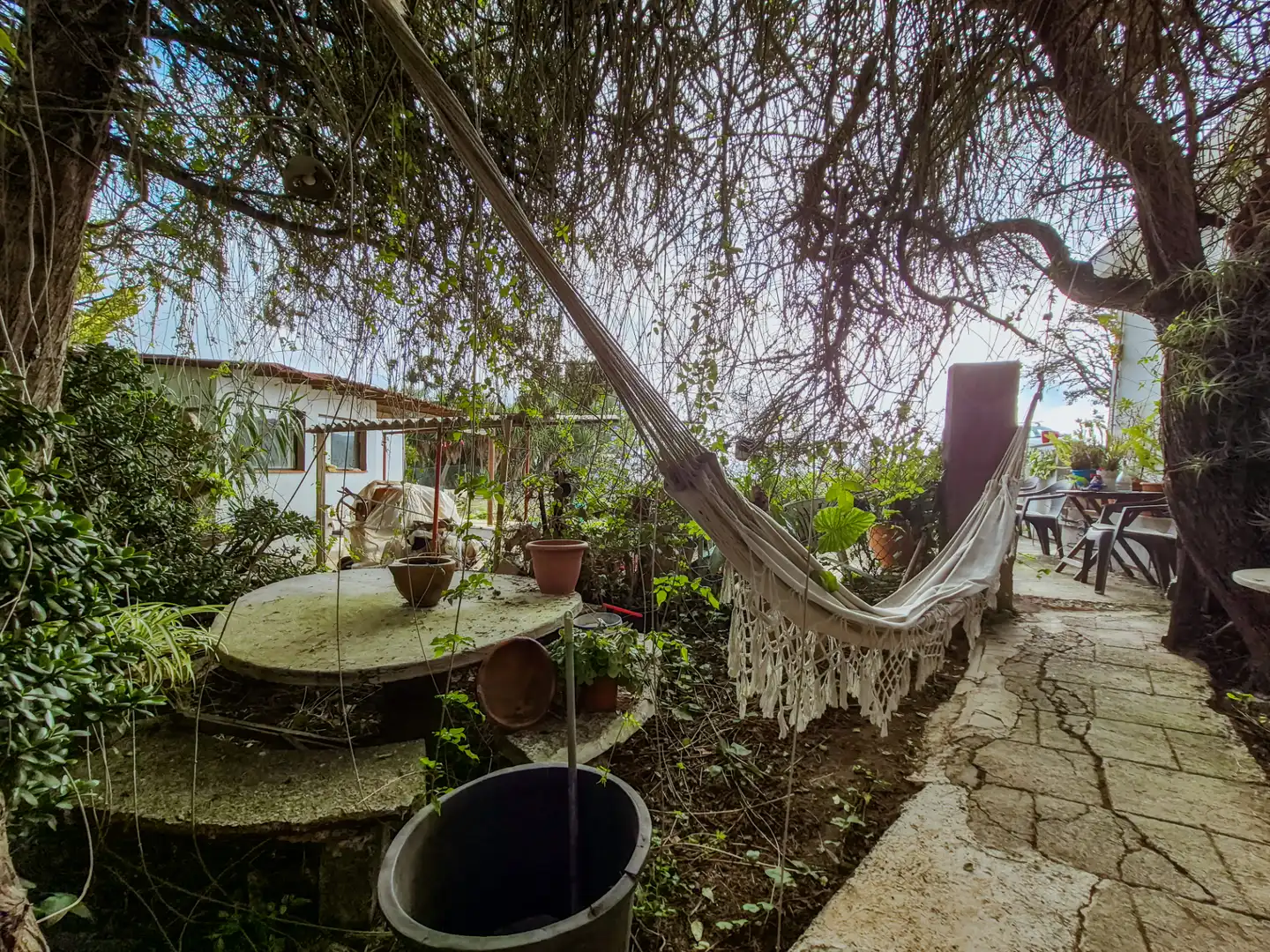 Jardín de Finca rústica en venta en Las Palmas de Gran Canaria con Jardín privado, Terraza y Trastero