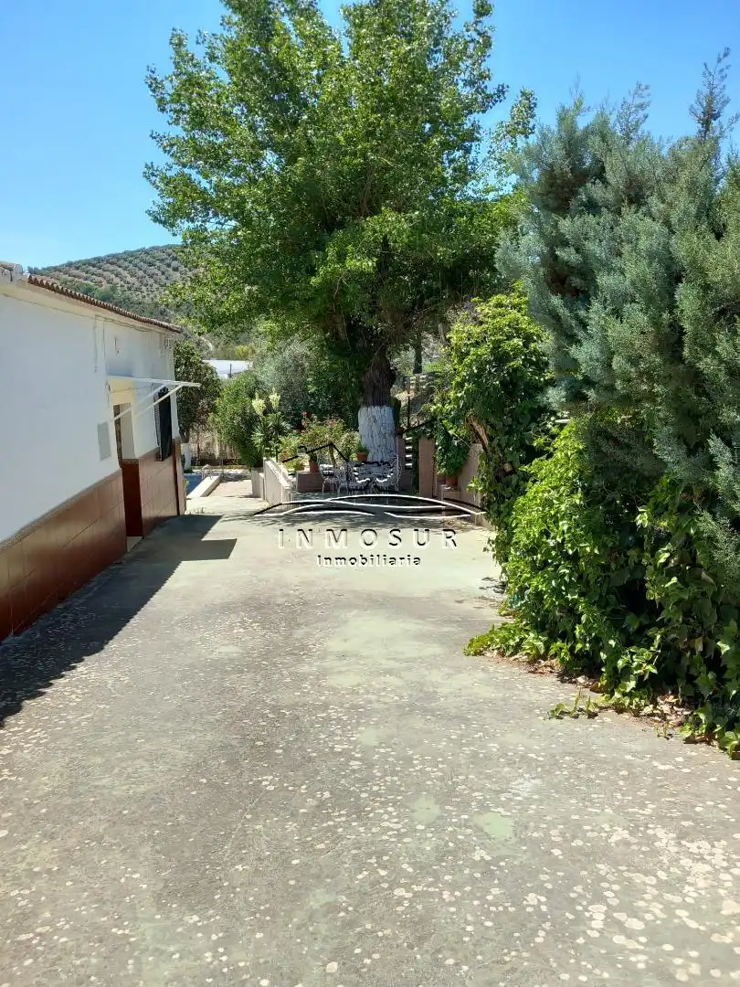 Casa amb piscina en venda a Rute, imagen 3