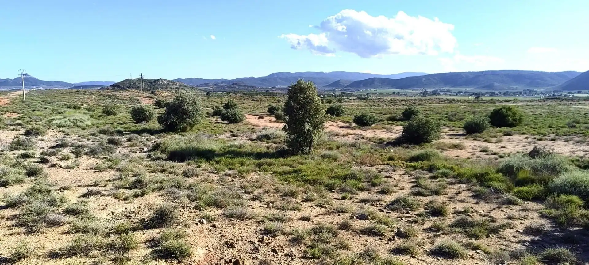 Rural land for sale in Partida Los Cabezos, imagen 2