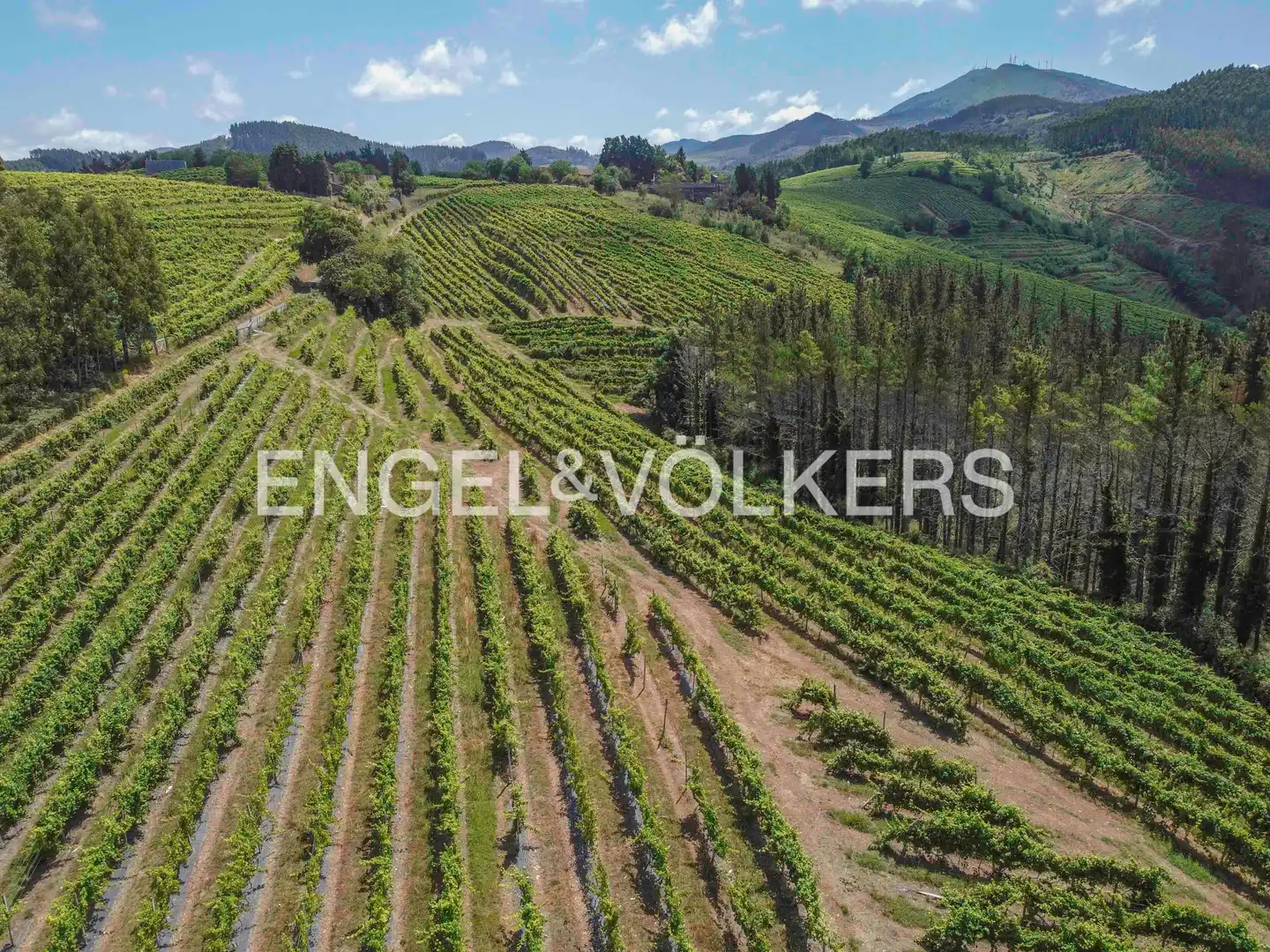 Casa o chalet en venta en Muxika con Calefacción, Jardín privado y Balcón