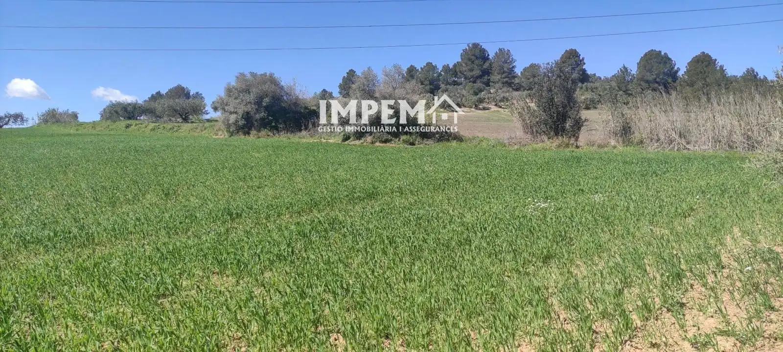 Terreno en venta en Sant Llorenç d'Hortons
