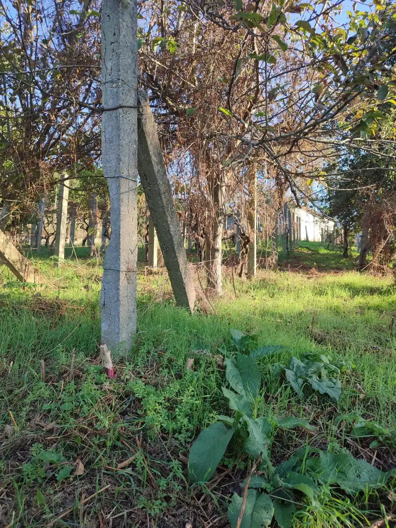 Casa o chalet en venta en Vigo 