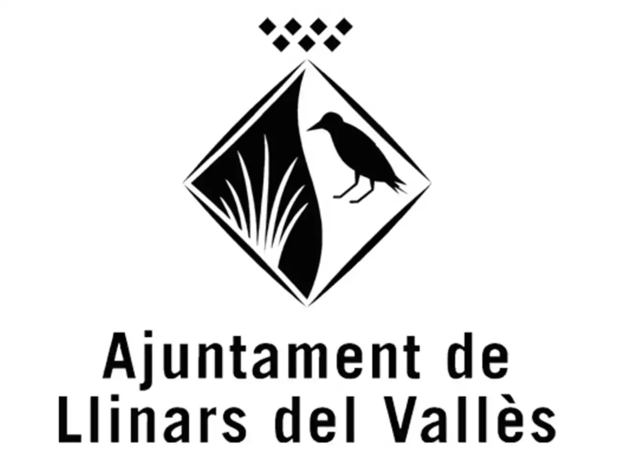 Rural land for sale in Calle MARE DE DEU DEL COLL 37, imagen 10