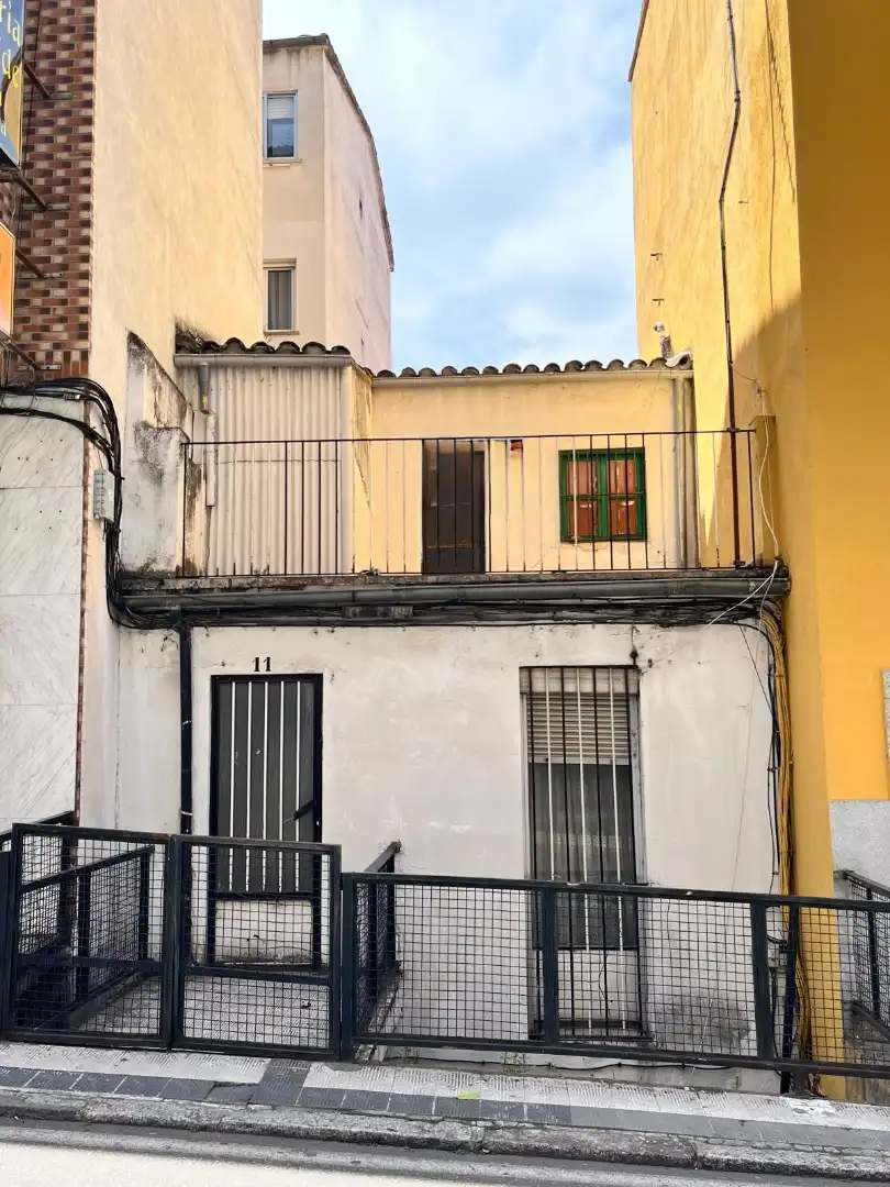 Exterior view of Detached homes for sale in Centro Ciudad