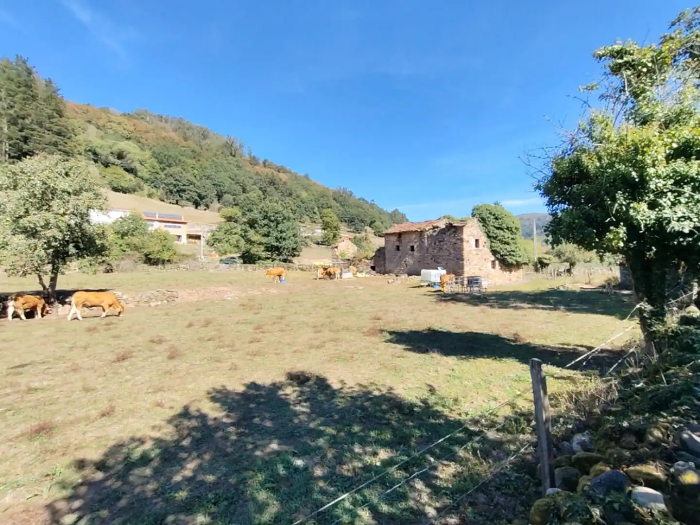 Maison avec jardin à vendre à San Juán de Raicedo - BO SAN JUAN RAICEDO, imagen 5