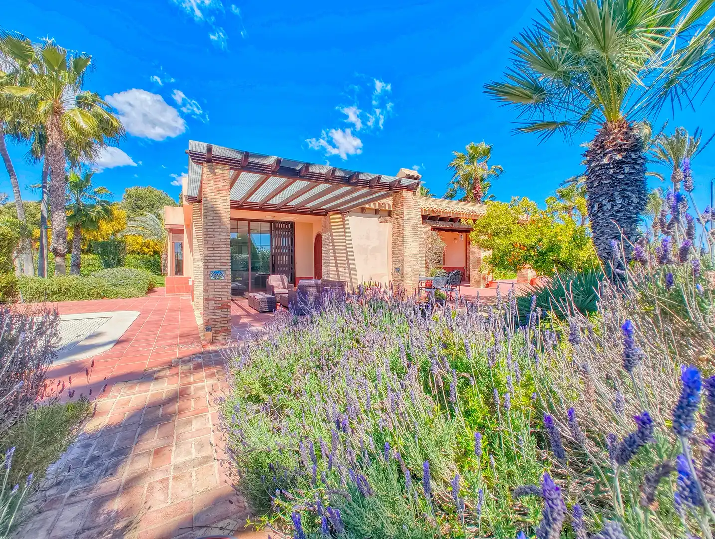 Garden of Houses for sale in Elche / Elx  with Air Conditioner, Heating and Terrace