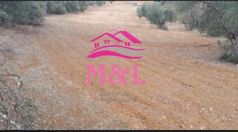 Foto 3 de Finca rústica en venta en Don Álvaro, Badajoz