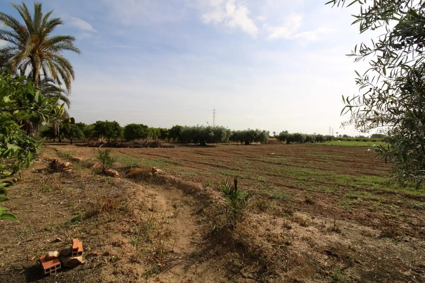 Villa con giardino in vendita a La Foia - Daimés - Asprella, imagen 43