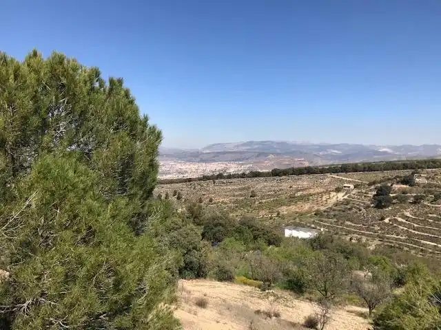 Grundstücke zum Verkauf in La Zubia
