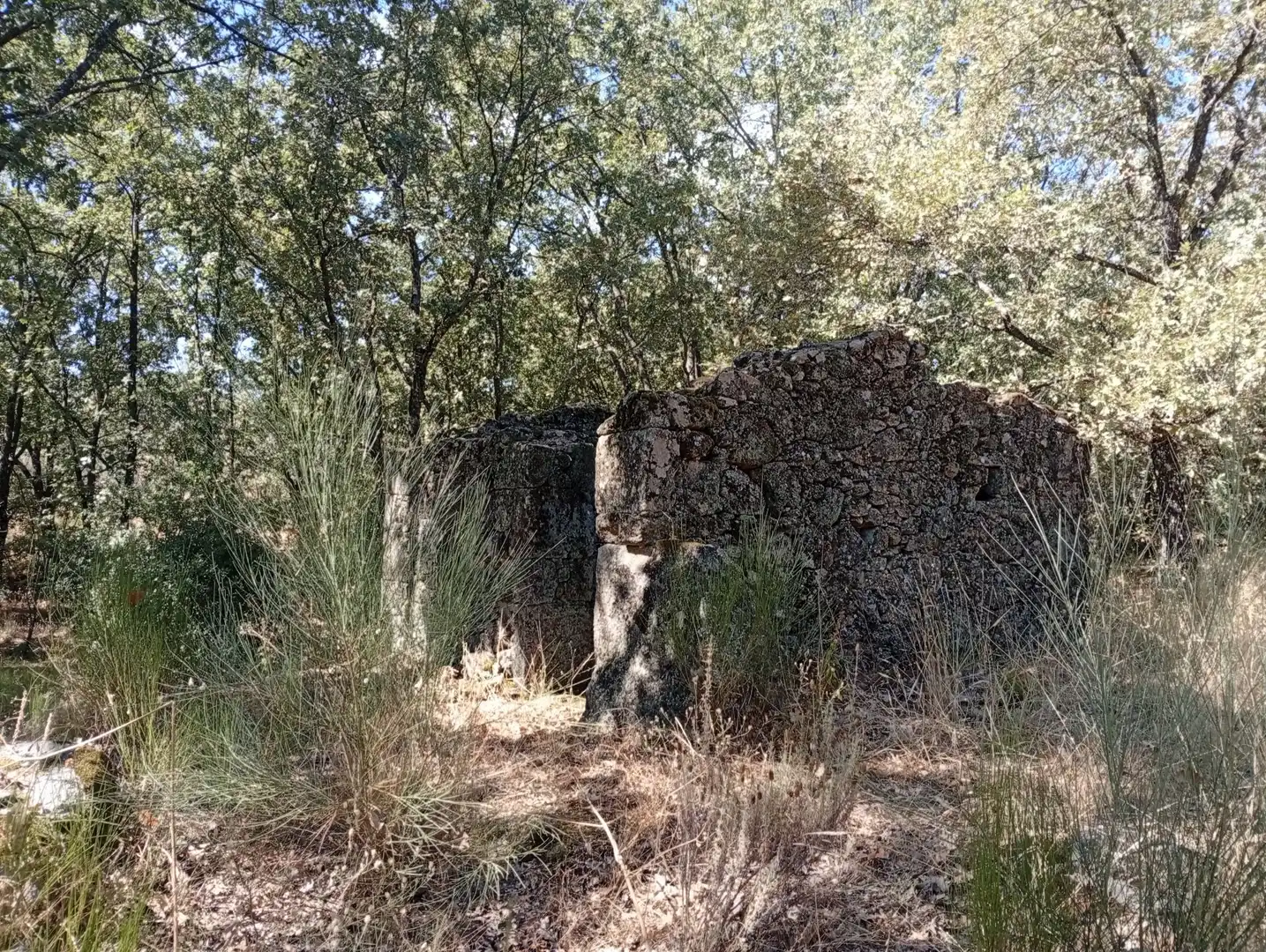 Terreni e lotti in vendita a Villanueva de la Vera, imagen 47
