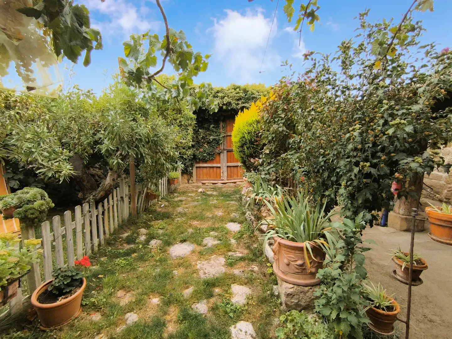 Jardín de Finca rústica en venta en Amusco, Palencia