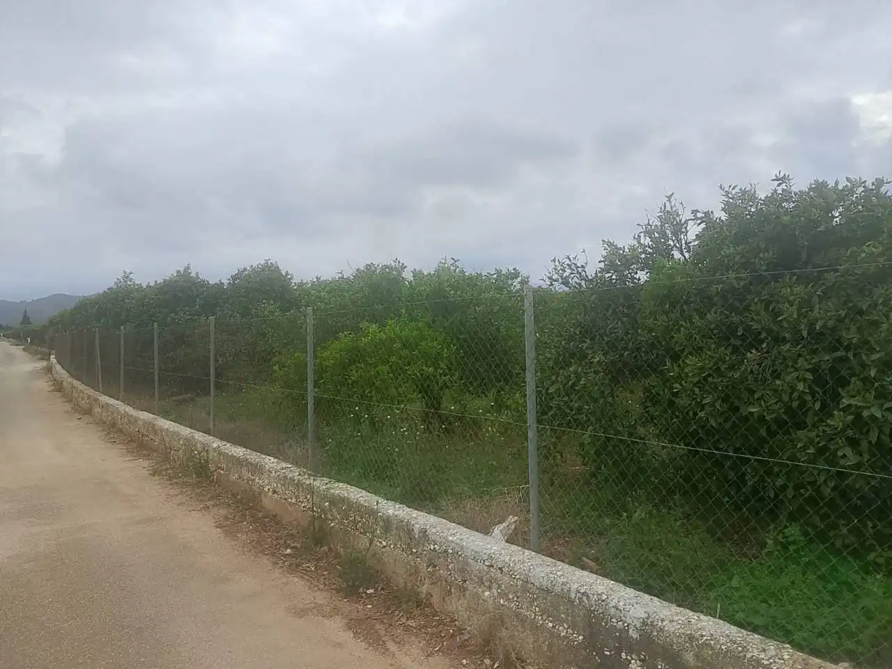 Terreny rústic en venda a Sector Enmig, imagen 11