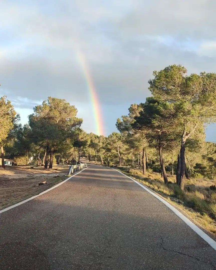 Vista exterior de Casa o xalet en venda en Mogente / Moixent amb Aire condicionat, Calefacció i Jardí privat