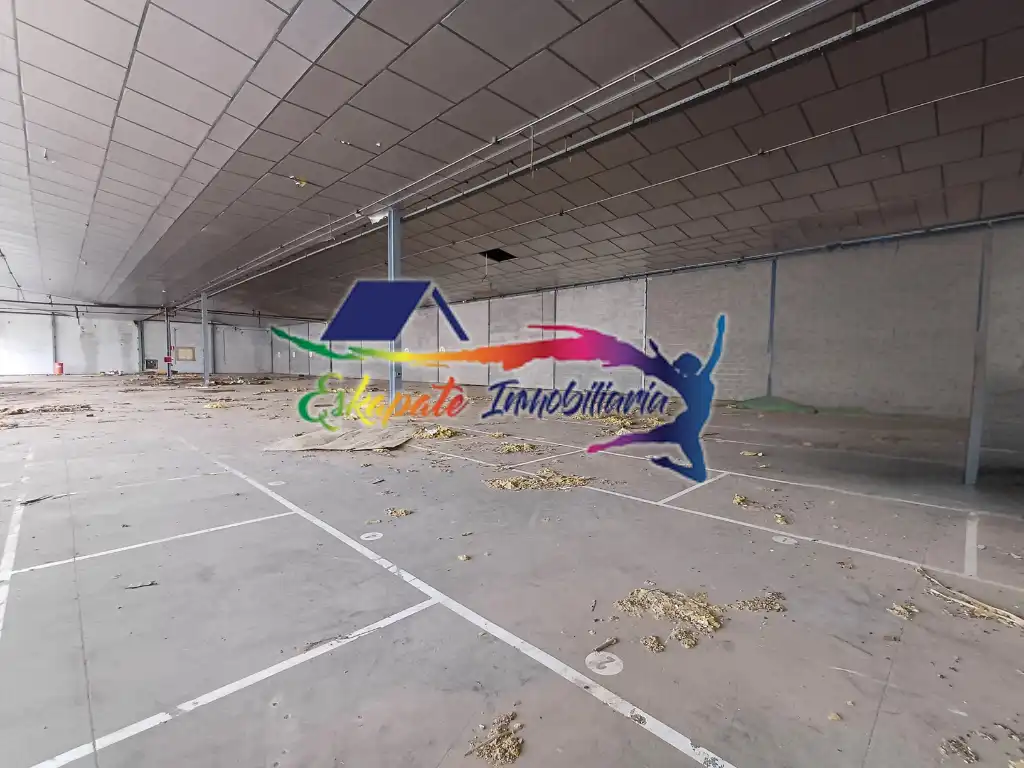Industrial building for sale in Avenida Tembleque 22, imagen 4