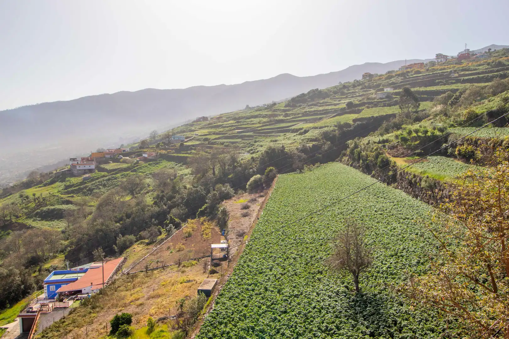 Vista exterior de Casa o chalet en venta en La Orotava con Jardín privado, Terraza y Trastero